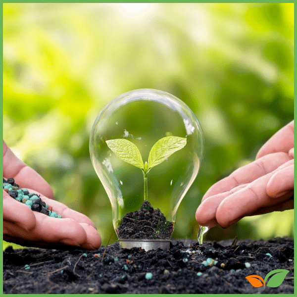 Descodificando las etiquetas: ¿Qué significan los números NPK en los fertilizantes?